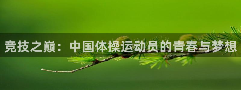 球新体育：竞技之巅：中国体操运动员的青春与梦想