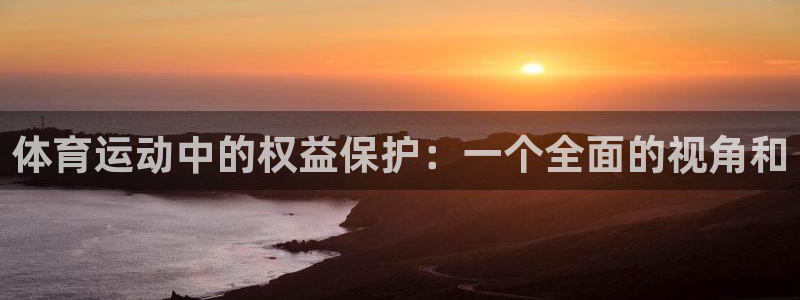 关键词：体育运动中的权益保护：一个全面的视角和