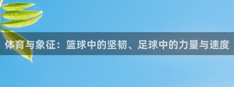 球新体育：体育与象征：篮球中的坚韧、足球中的力量与速度