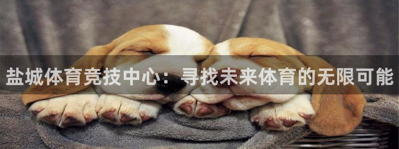 关键词：盐城体育竞技中心：寻找未来体育的无限可能
