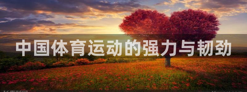球新体育：中国体育运动的强力与韧劲