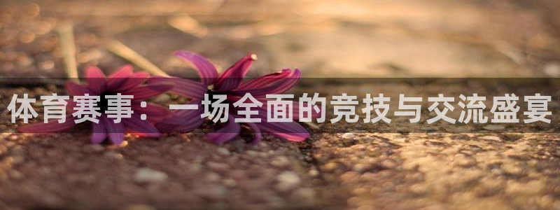 球新体育：体育赛事：一场全面的竞技与交流盛宴