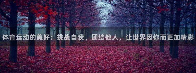 关键词：体育运动的美好：挑战自我、团结他人，让世界因你而更加精彩