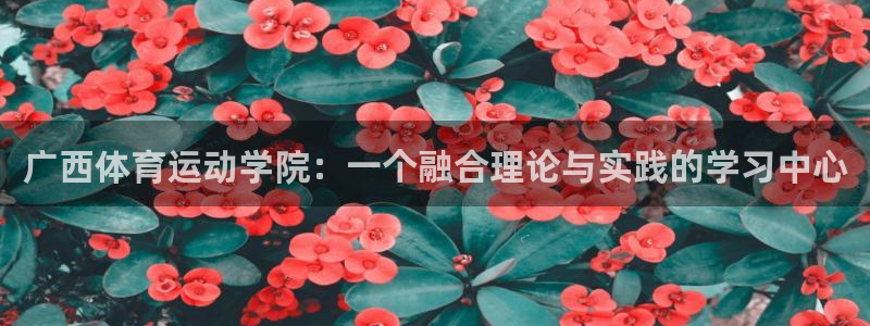 关键词：广西体育运动学院：一个融合理论与实践的学习中心