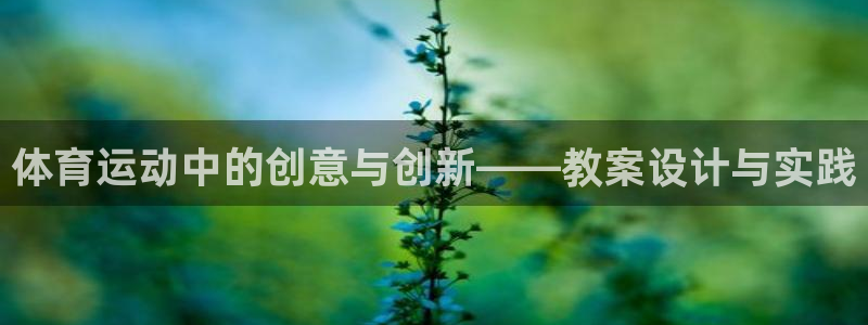 球新体育：体育运动中的创意与创新——教案设计与实践